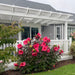 Picture of a wall-mounted 2-post pergola attached to house with beautiful flowers in the foreground