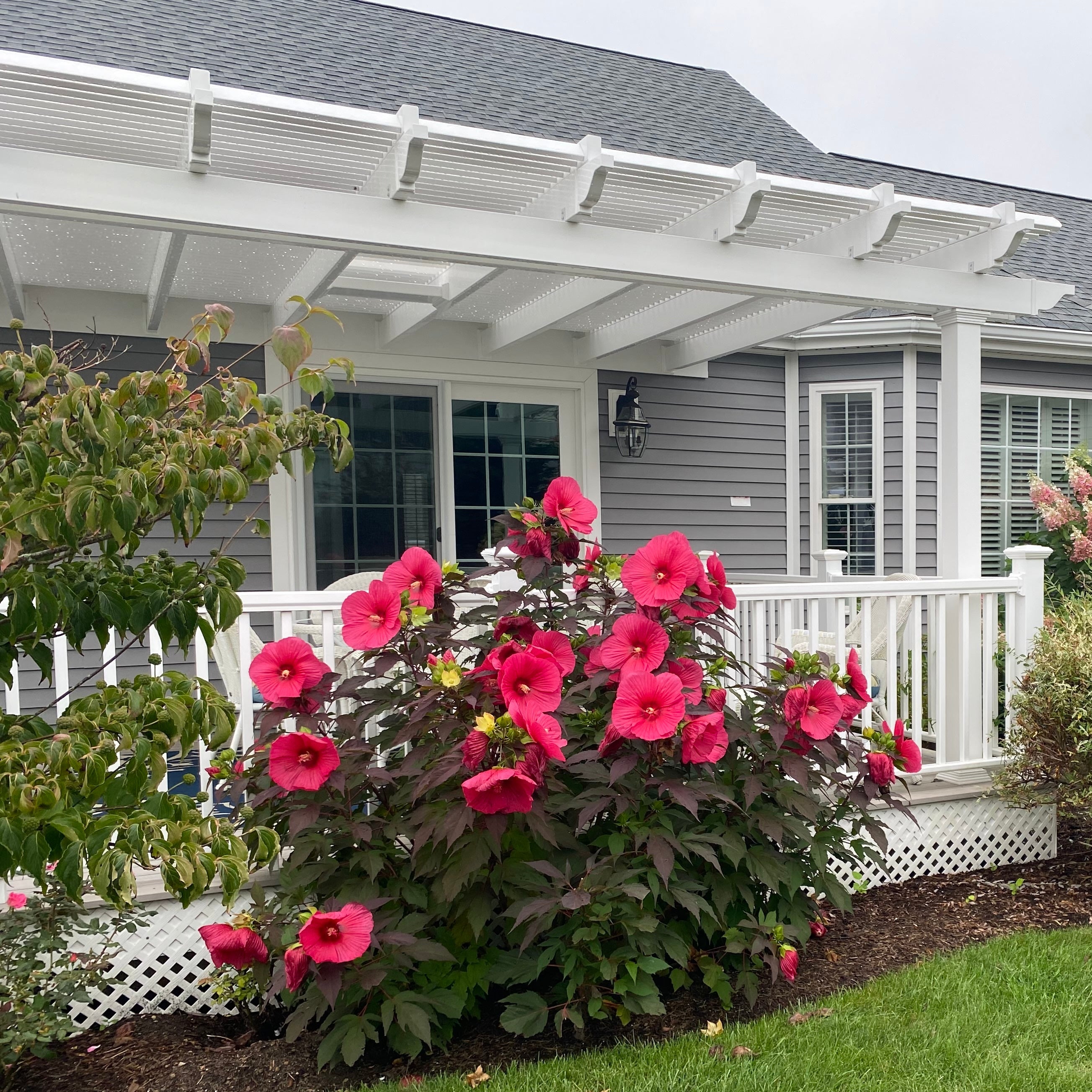 Picture of a wall-mounted 2-post pergola attached to house with beautiful flowers in the foreground